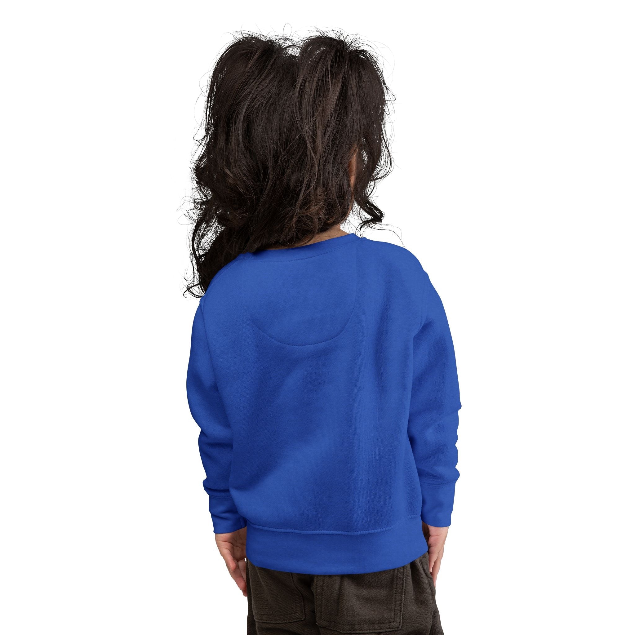 "Don't Test Me, I Got Aunties" Toddler Sweatshirt — Indigenous Kids PulloverEmber Spirit Apparel