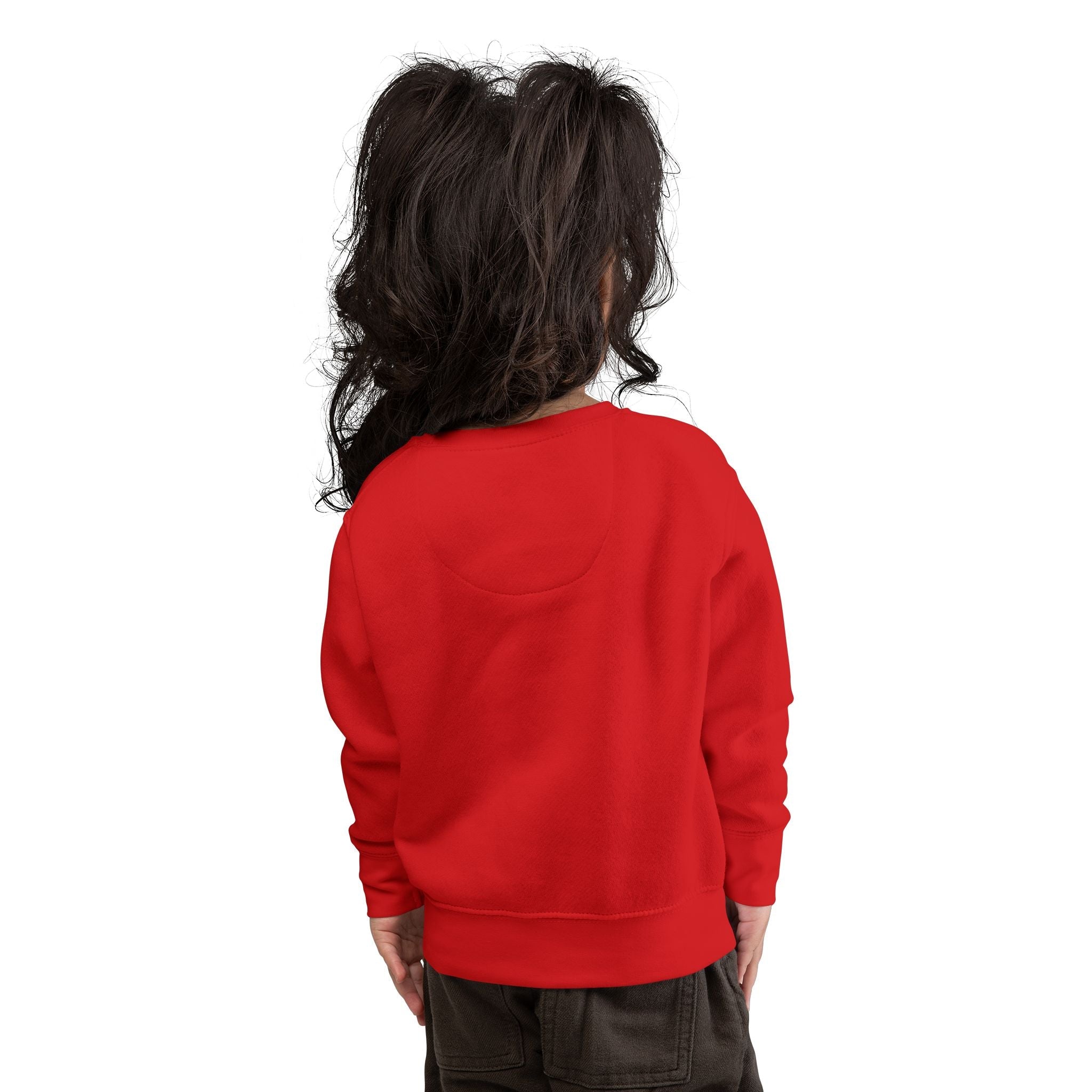 "Don't Test Me, I Got Aunties" Toddler Sweatshirt — Indigenous Kids PulloverEmber Spirit Apparel