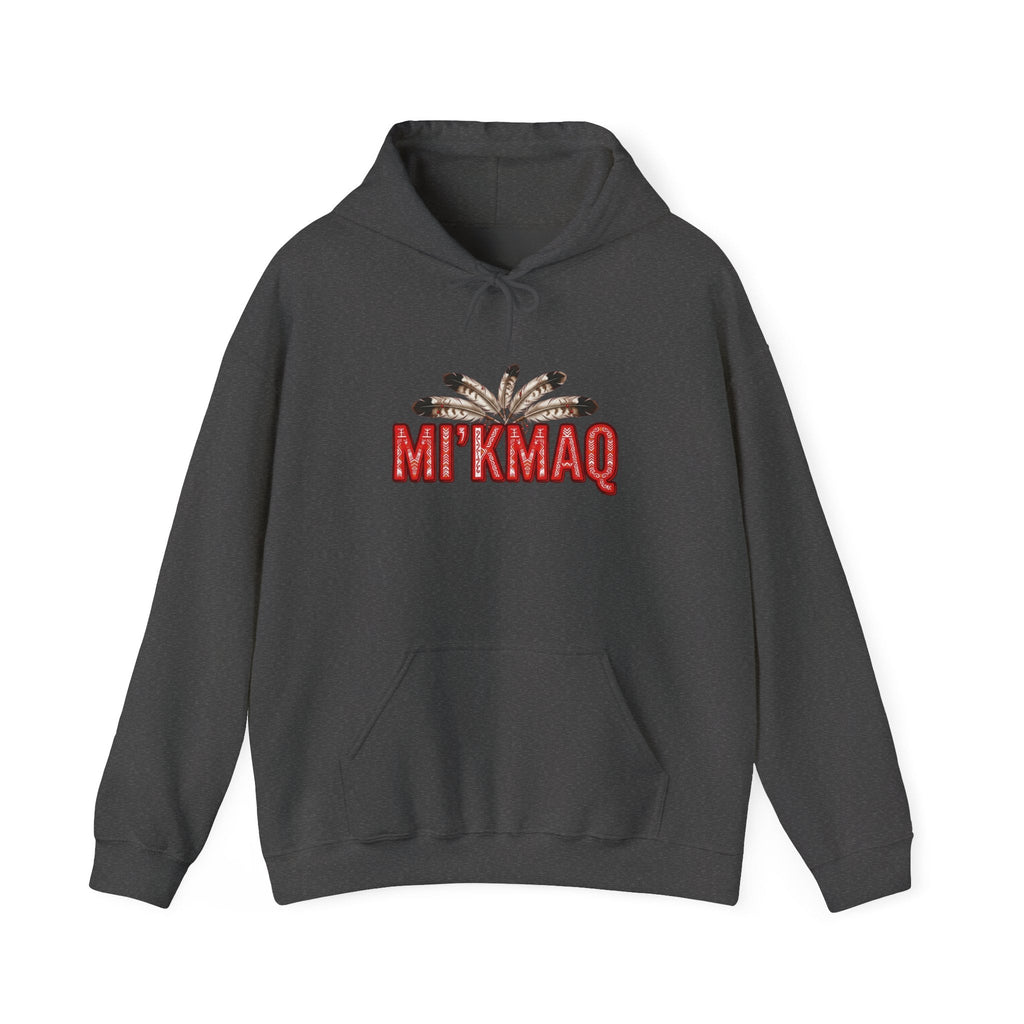 Mi'kmaq Grand Council Flag Hoodie — 1752 Peace & Friendship TreatyEmber Spirit Apparel