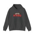 Mi'kmaq Grand Council Flag Hoodie — 1752 Peace & Friendship TreatyEmber Spirit Apparel