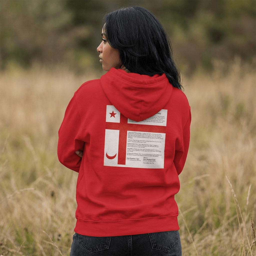 Mi'kmaq Grand Council Flag Hoodie — Mi'kmaq nation flag graphic, back viewMi'kmaq Hoodie