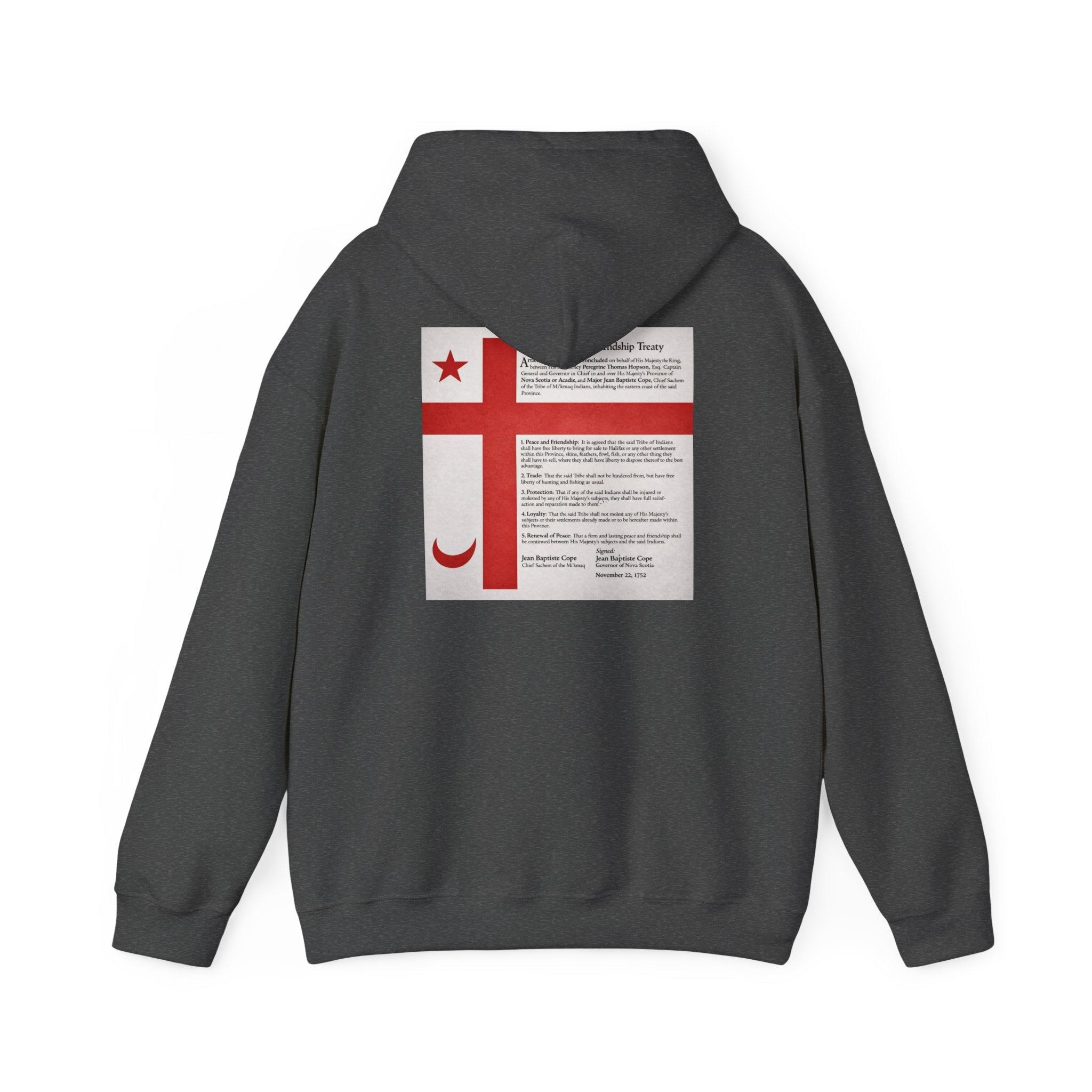 Mi'kmaq Hoodie — Grand Council Flag Constitution Peace & Friendship TreatyEmber Spirit Apparel