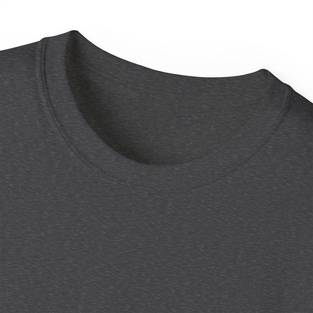 Viking Shield & Sword Graphic Tee — Norse Warrior Crest T-ShirtEmber Spirit Apparel