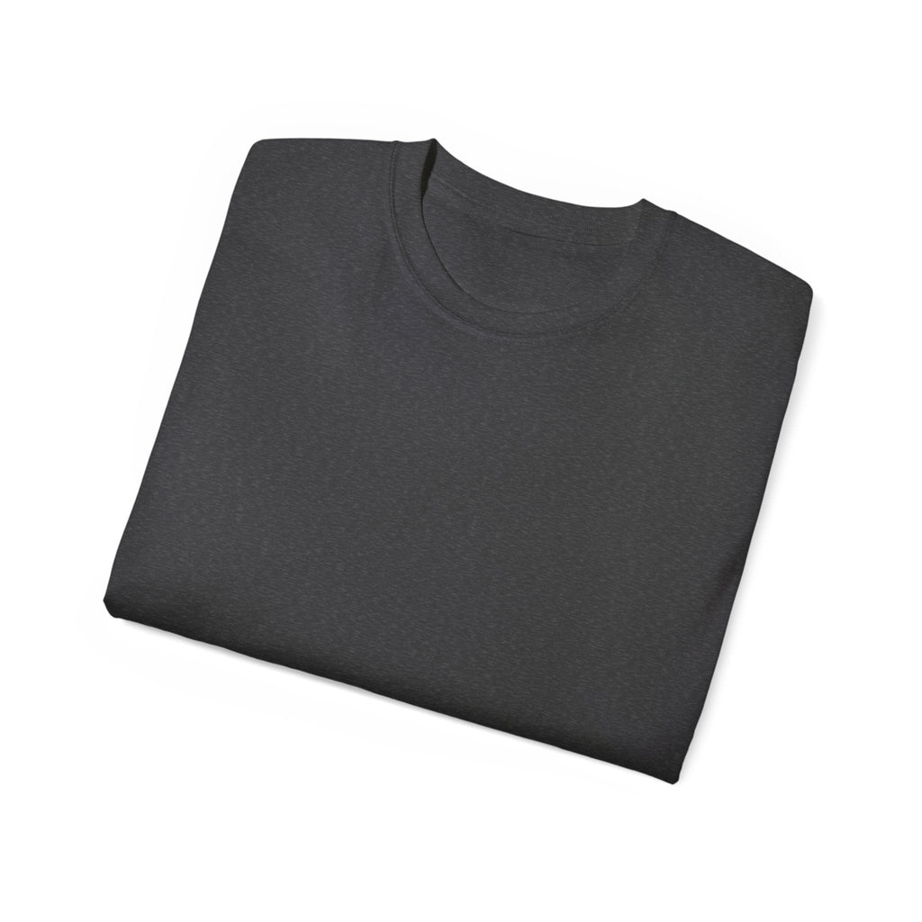 Viking Shield & Sword Graphic Tee — Norse Warrior Crest T-ShirtEmber Spirit Apparel