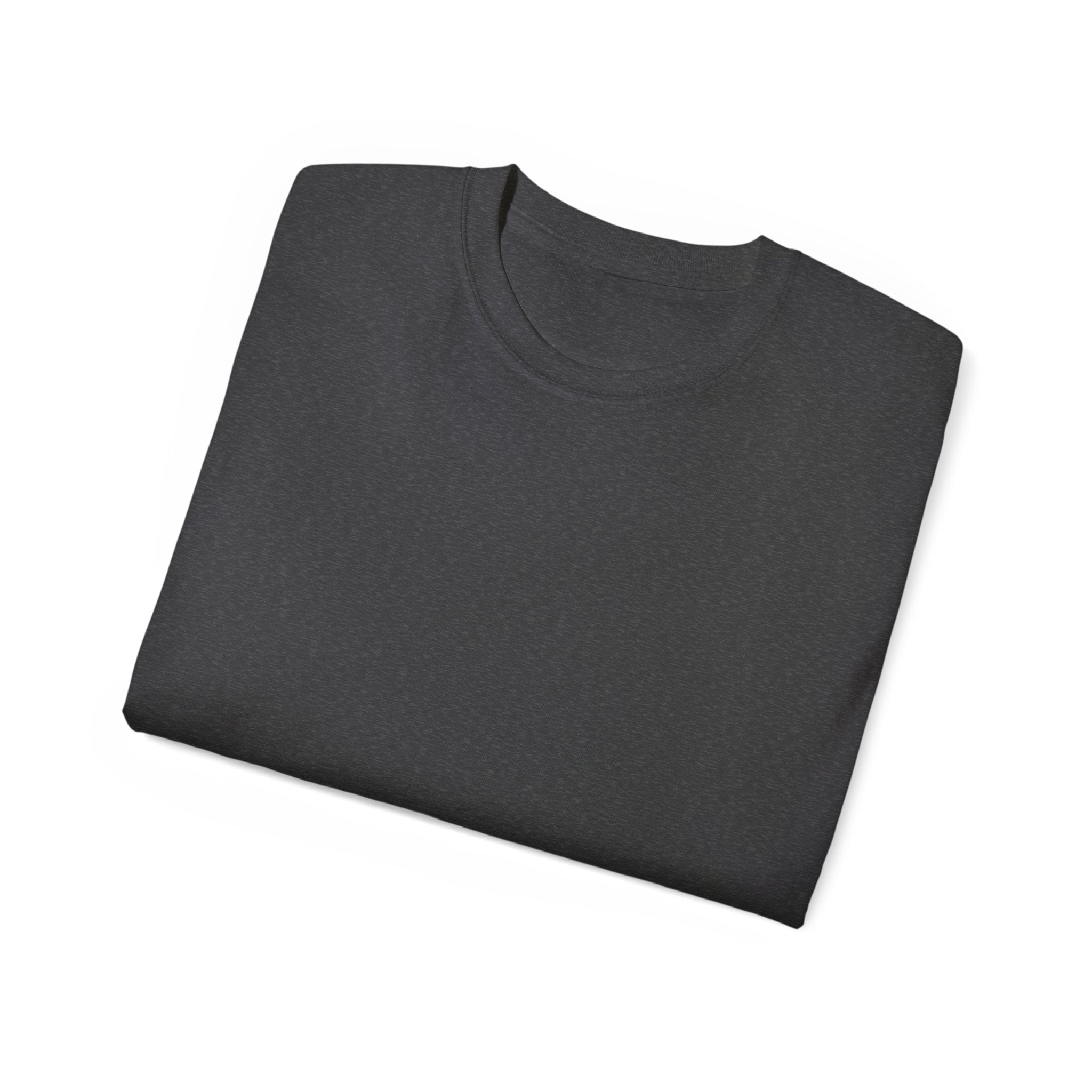 Viking Shield & Sword Graphic Tee — Norse Warrior Crest T-ShirtEmber Spirit Apparel